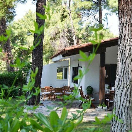 Villa Irini In Sani Сани-Бич Экстерьер фото