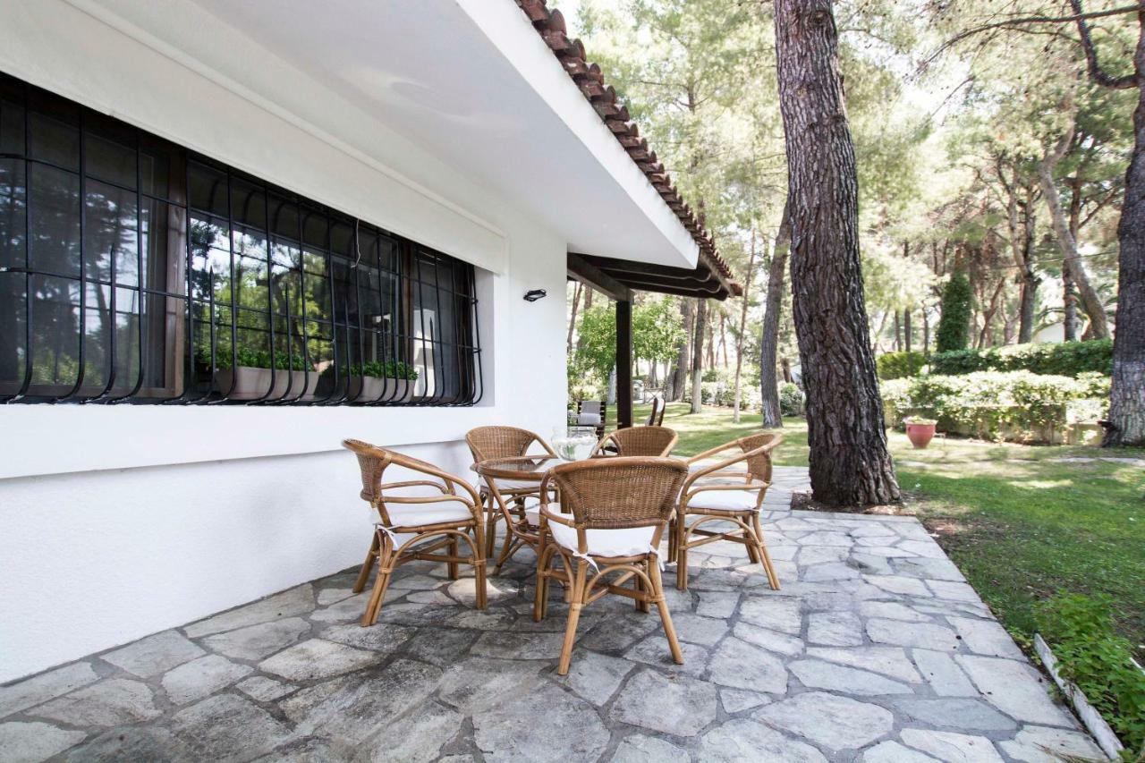 Villa Irini In Sani Сани-Бич Экстерьер фото